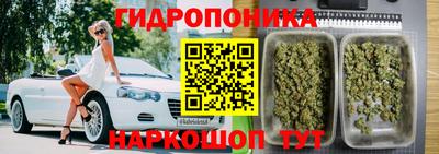 эйфоретик Славгород